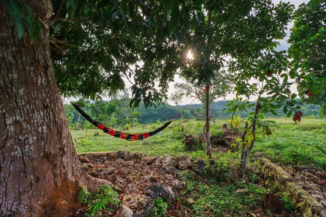 Ayu Hill Bungalows Toyapakeh Esterno foto